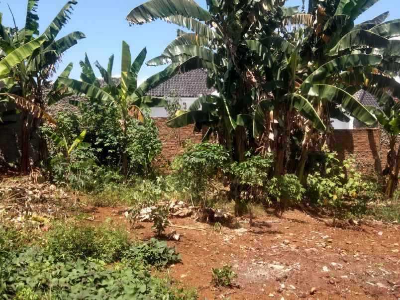 tanah pekarangan siap bangun di rajabasa luas 375m shm