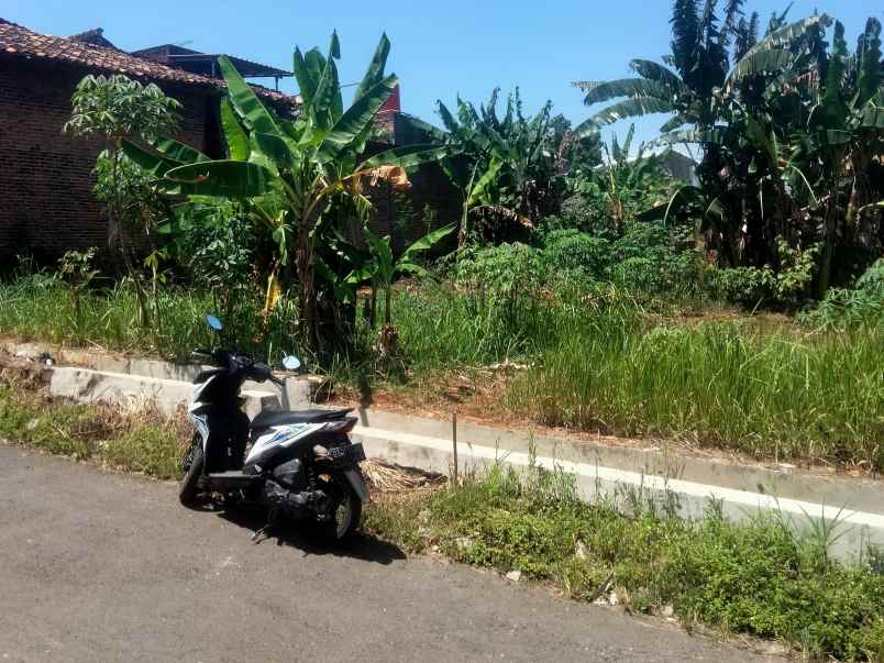 tanah pekarangan siap bangun di rajabasa luas 375m shm