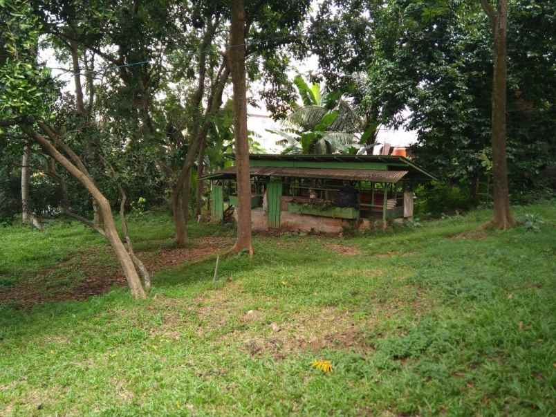 tanah pondok labu cilandak