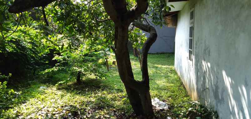 tanah pondok labu cilandak