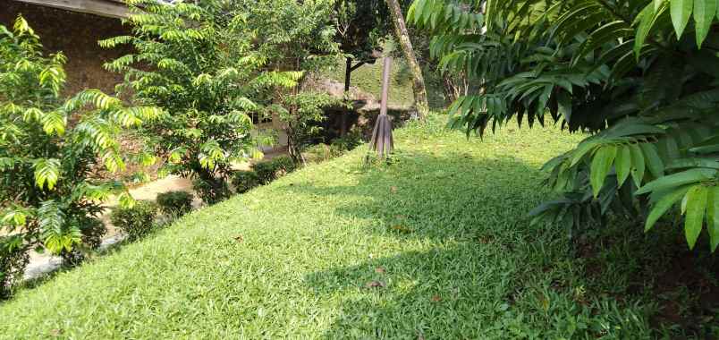 tanah pondok labu cilandak