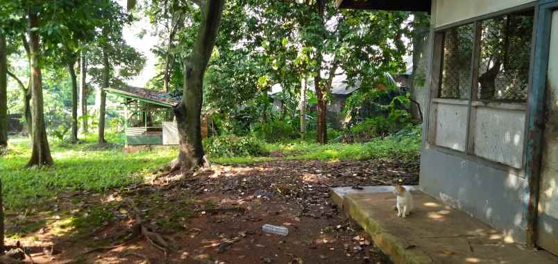 tanah pondok labu cilandak