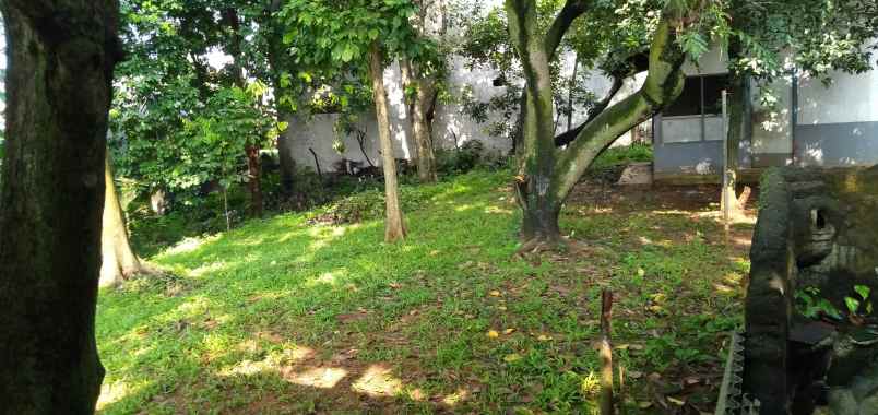 tanah pondok labu cilandak