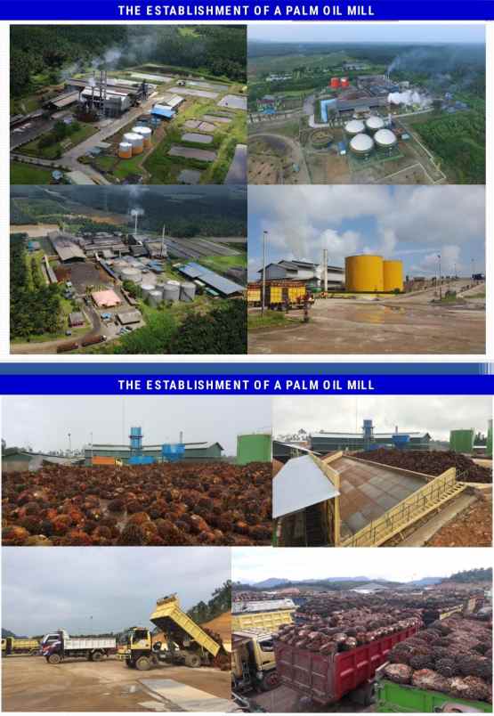 tanah sambas sajingan besar