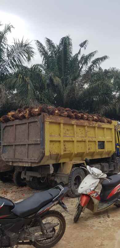 tanah sambas sajingan besar