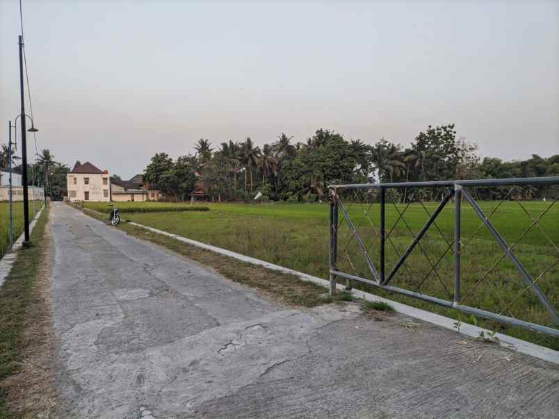 tanah sawah di dekat ring road jogja 1 1 km kampus umy