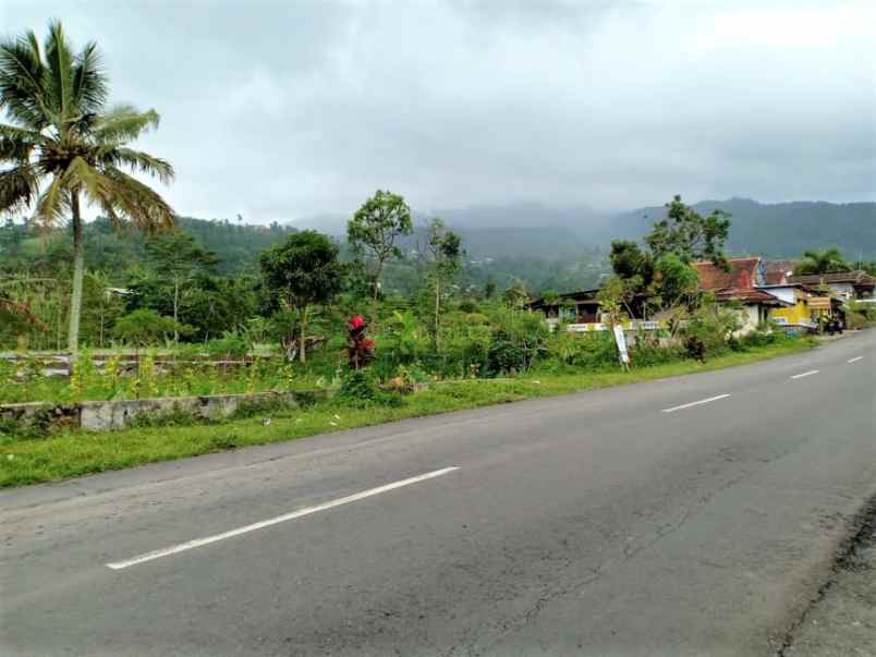 tanah tepi jl raya kemuning