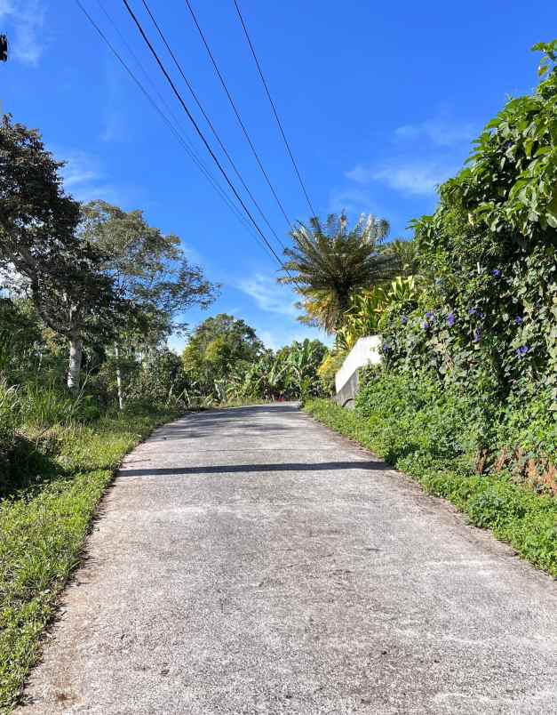 tanah view laut dan lembah di wanagiri singaraja bali