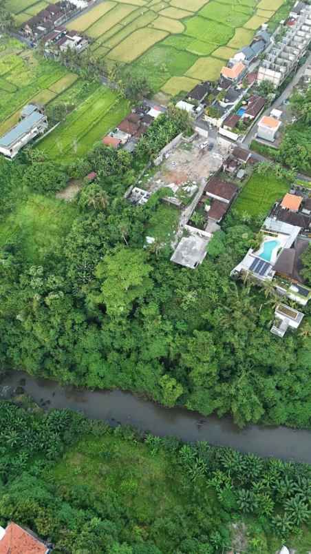 tanah view sungai dan jungle di lodtunduh ubud bali