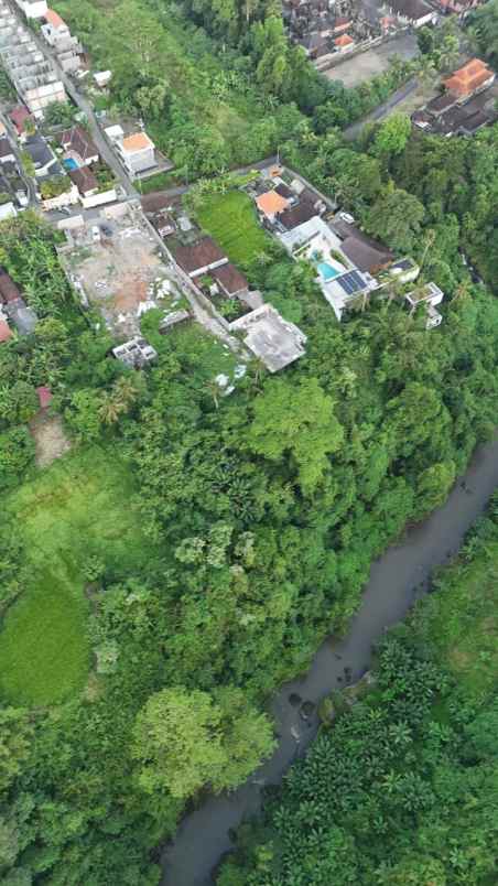 tanah view sungai dan jungle di lodtunduh ubud bali
