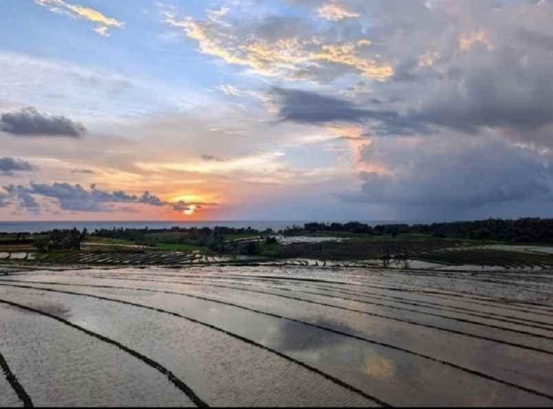 tanah zona pink 600 meter dari pantai kelecung bali