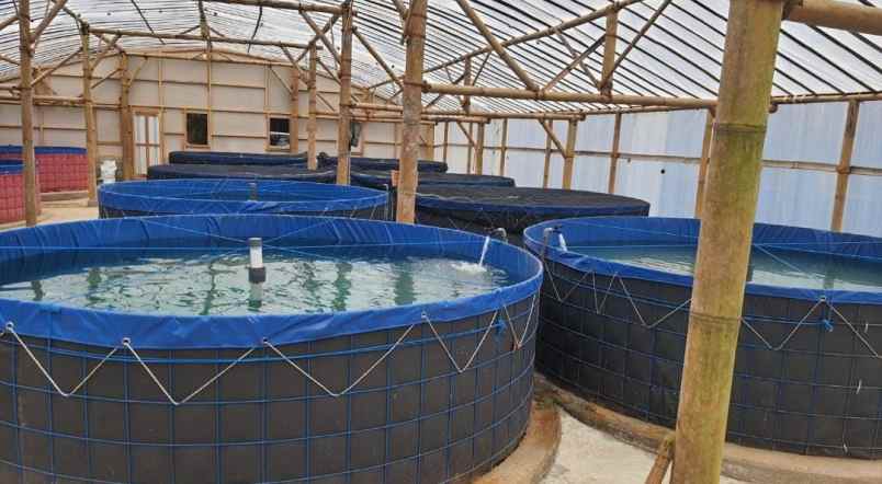 villa siap huni di lereng gunung kawi prospek bagus