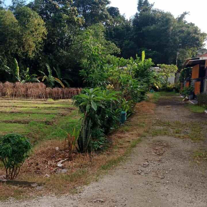 dijual 5 75 are jl cica abianbase kapal mengwi badung