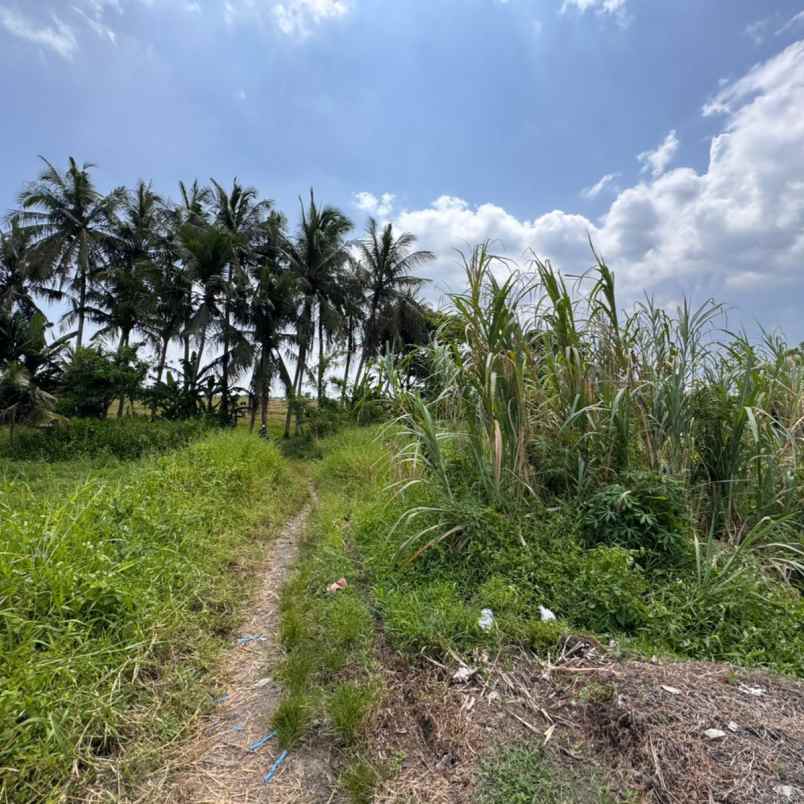 dijual 5 are jl dewi sri pandak gede kediri tabanan