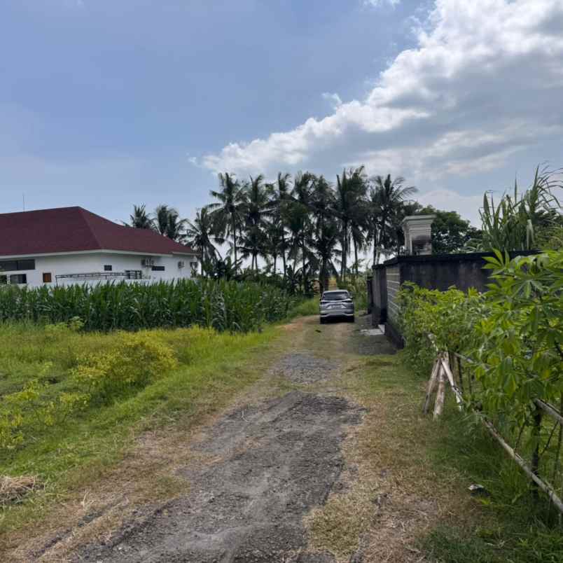 dijual 5 are jl dewi sri pandak gede kediri tabanan