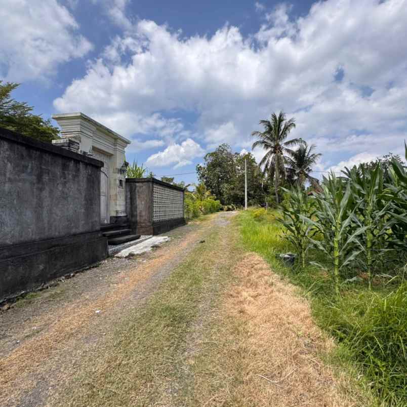 dijual 5 are jl dewi sri pandak gede kediri tabanan