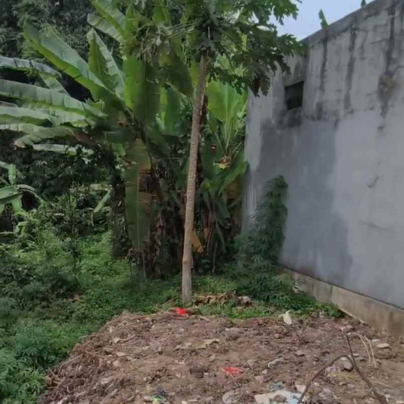 dijual 8 98 are perum lebah asri rindam kediri tabanan