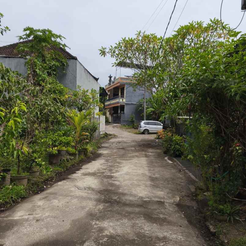 dijual 8 98 are perum lebah asri rindam kediri tabanan