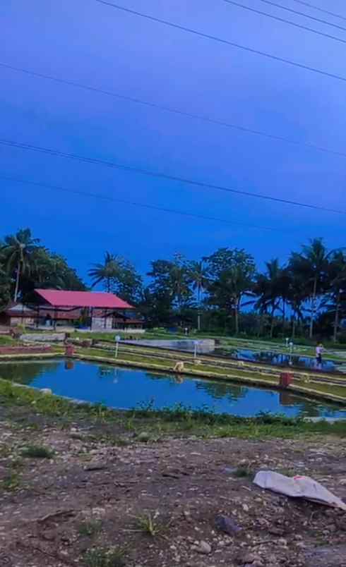 dijual cepat tanah di kawiley minut kab minahasa utara