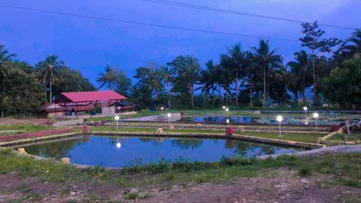 dijual cepat tanah di kawiley minut kab minahasa utara