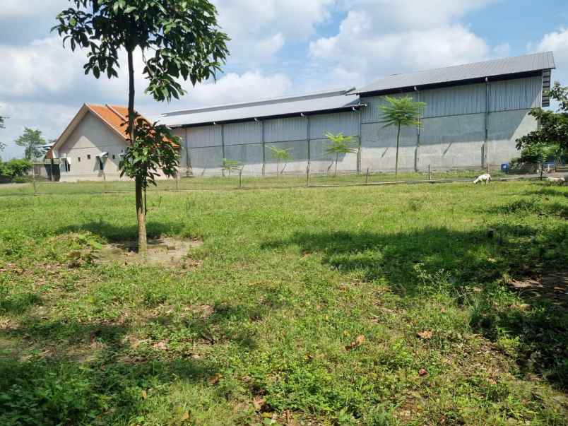 dijual gudang di kediri