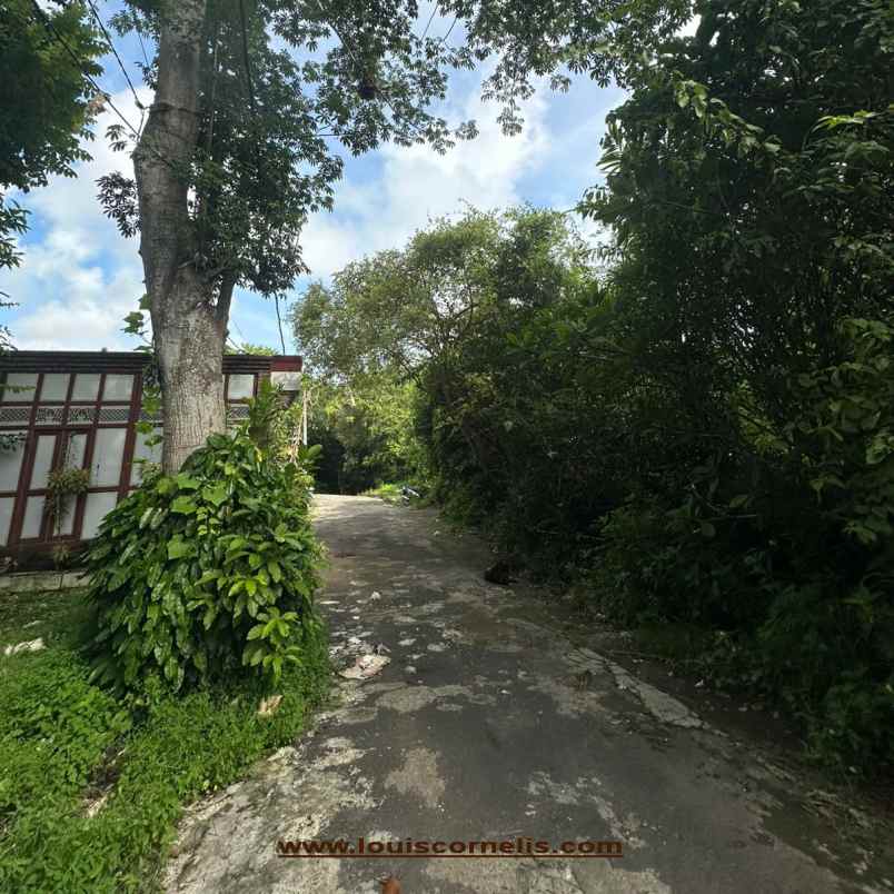 dijual murah tanah zona pariwisata di pecatu bali