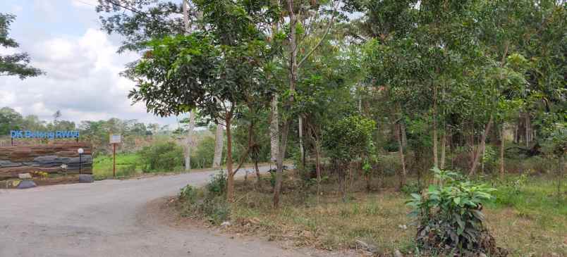 dijual pekarangan sukorini manisrenggo