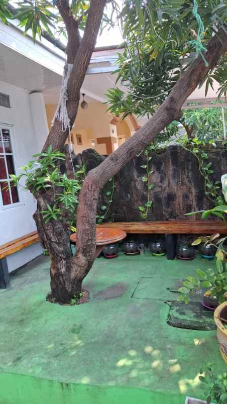 dijual rumah di kebon bawang