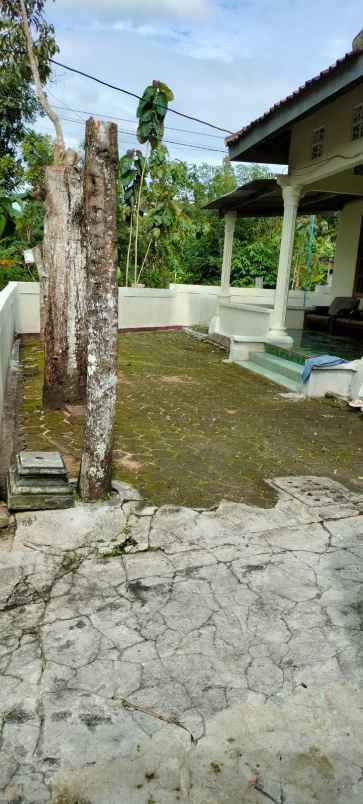 dijual rumah di piyaman ngerboh wonosari
