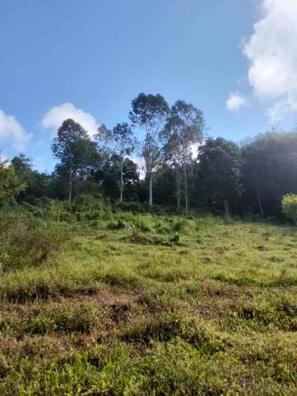 dijual rumah dijual cepat tanah di