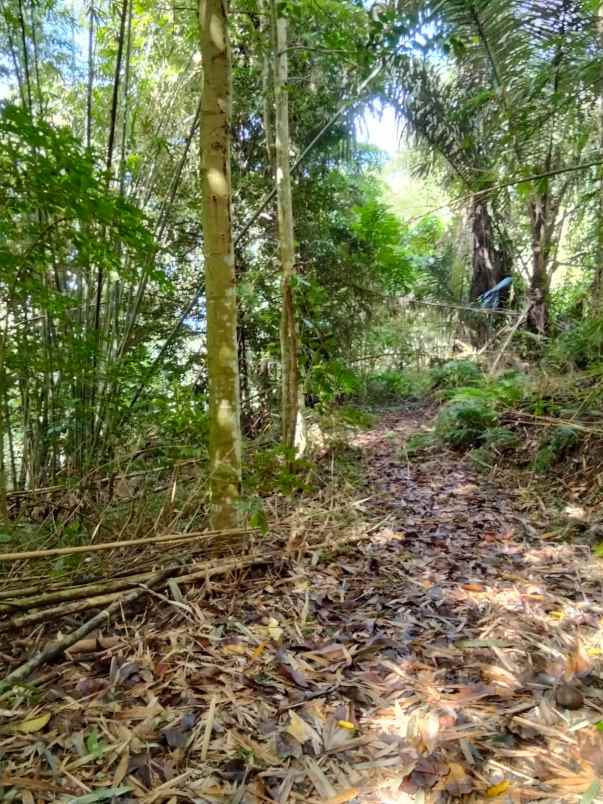 dijual rumah dijual cepat tanah di