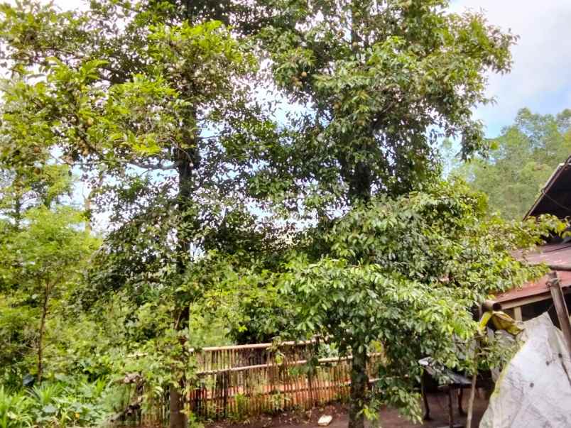 dijual rumah dijual cepat tanah di