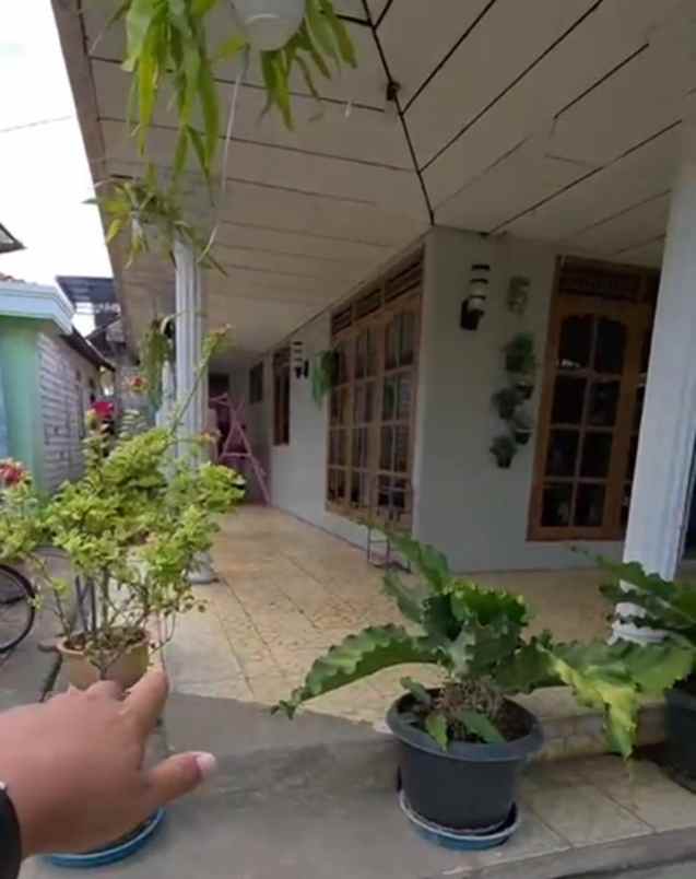 dijual rumah dijual rumah di ds bakaran
