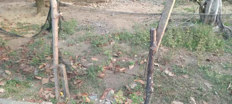 dijual rumah dijual rumah di jln a