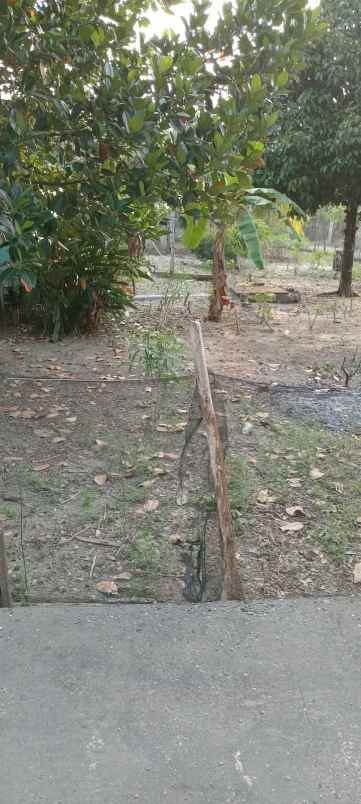 dijual rumah dijual rumah di jln a