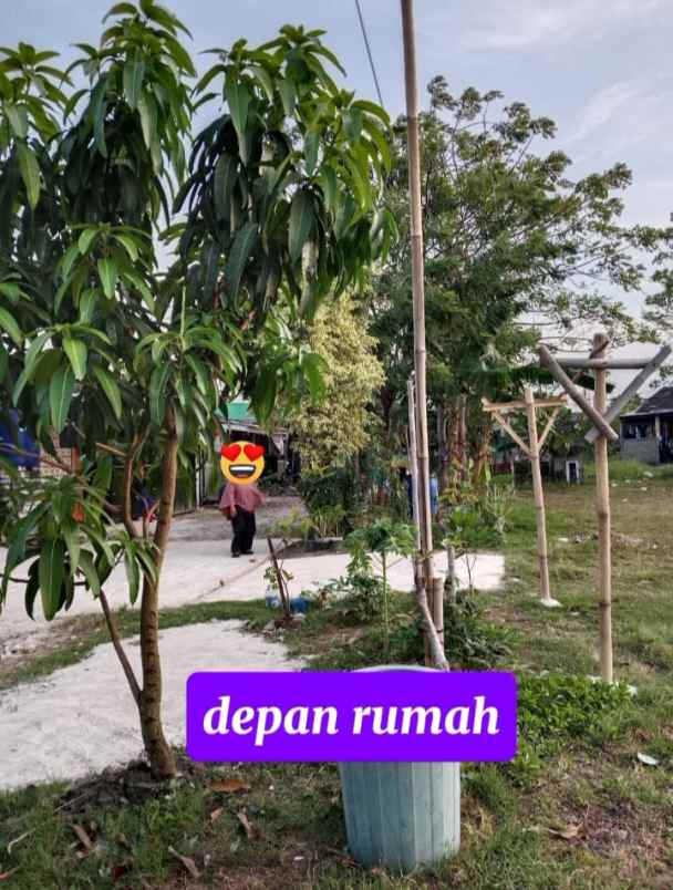 dijual rumah dijual rumah di perumahan