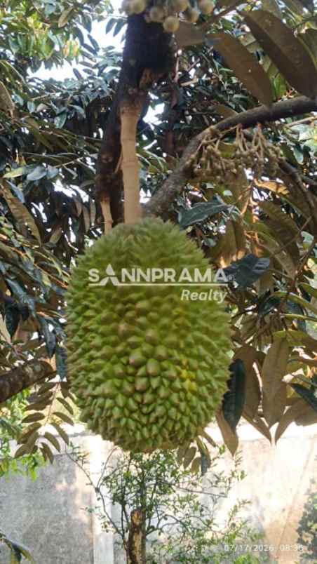dijual rumah duren seribu