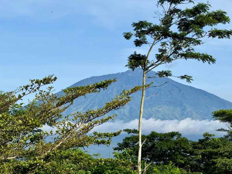 dijual rumah eksklusif lokasi araya malang