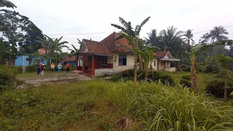 dijual rumah jl raya rawalo purwokerto