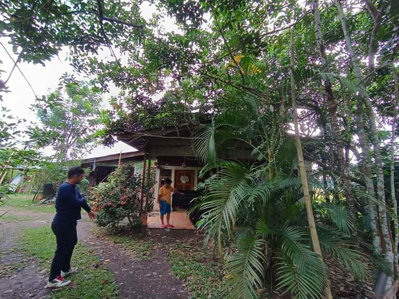 dijual rumah lorong rekho jaga v desa