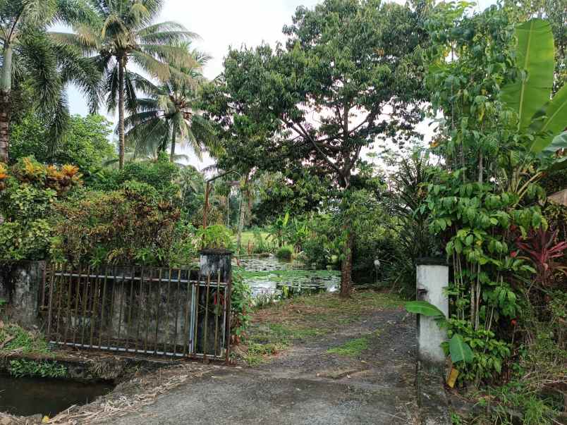 dijual rumah lorong rekho jaga v desa