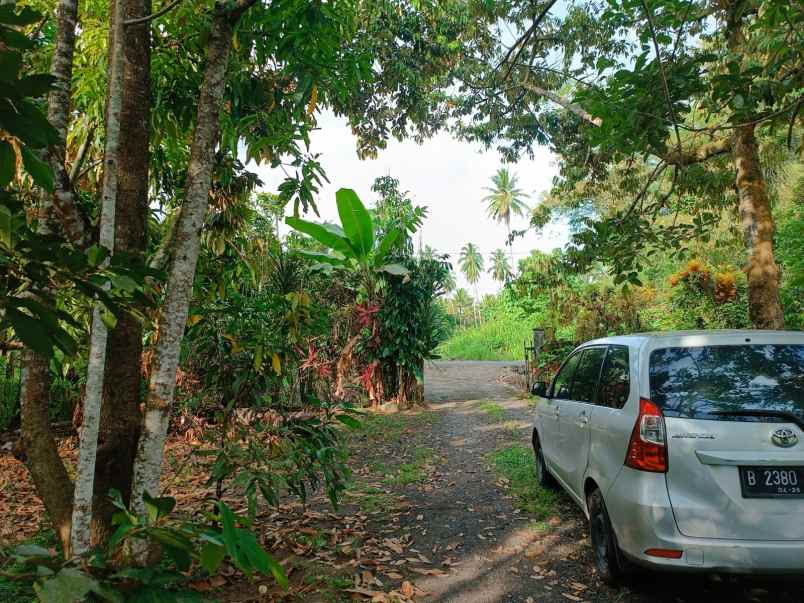 dijual rumah lorong rekho jaga v desa