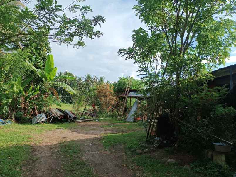 dijual rumah lorong rekho jaga v desa