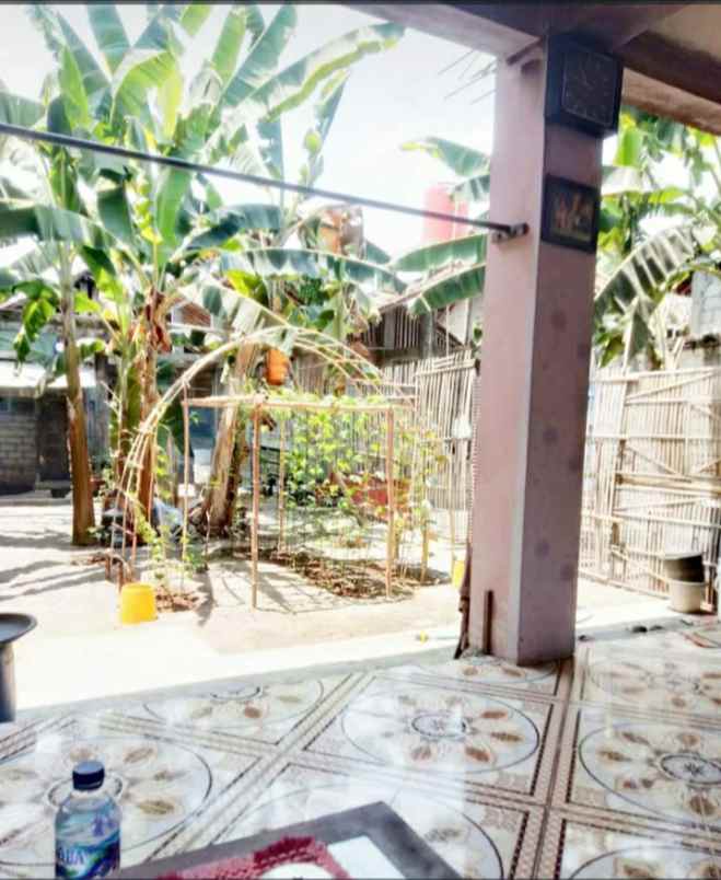 dijual rumah minimalis murah