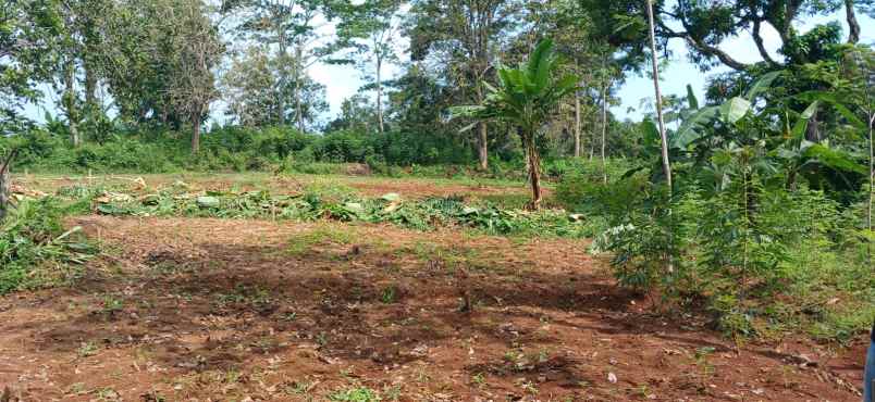 dijual rumah mulawarman