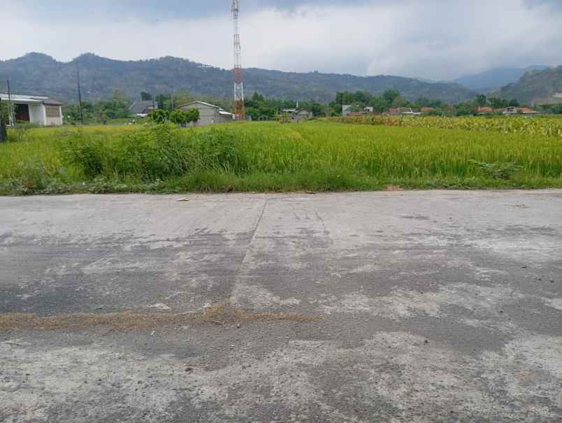 dijual rumah prambanan sleman yogyakarta