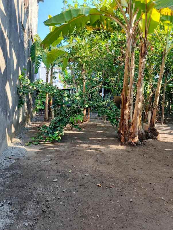 dijual rumah sewon
