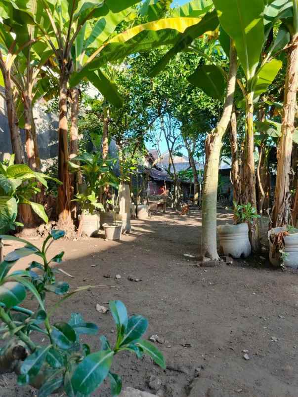 dijual rumah sewon
