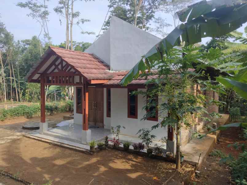 dijual rumah tinggal masuk pinggir jl desa