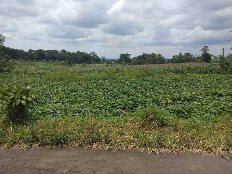 dijual tanah bandorasa kec cilimus